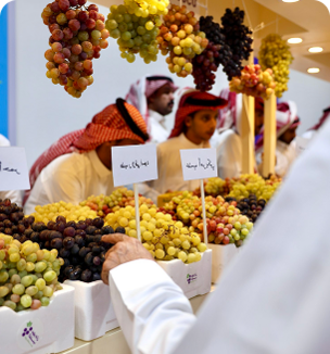 ماراثون معالم المدينة